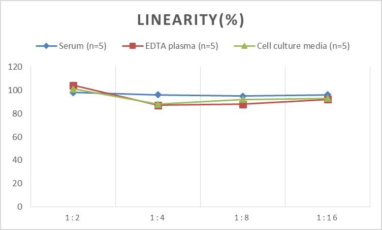 Human CD21 ELISA Kit (Colorimetric)