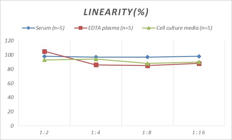 Mouse Gastrin ELISA Kit (Colorimetric)