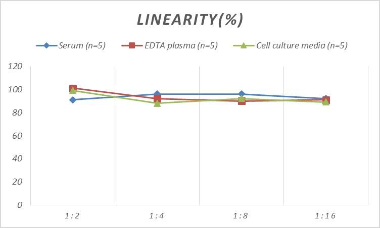 Rat Gastrin ELISA Kit (Colorimetric)