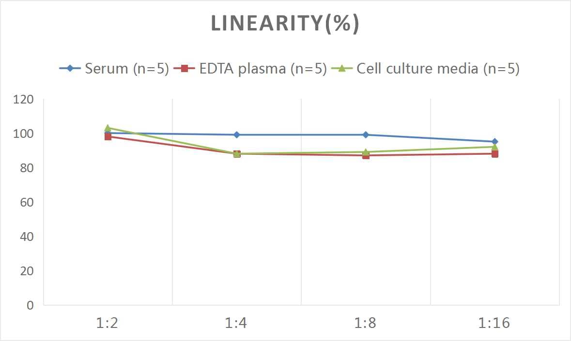 Mouse Granzyme B ELISA Kit (Colorimetric)