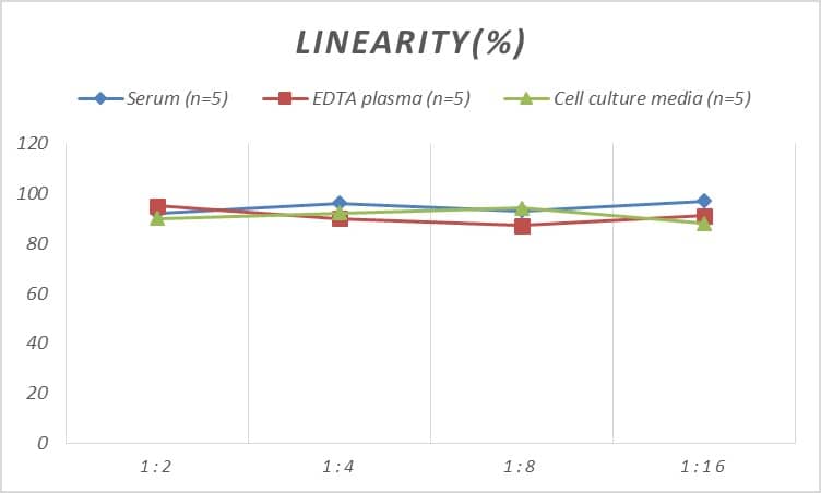 Rat Granzyme B ELISA Kit (Colorimetric)