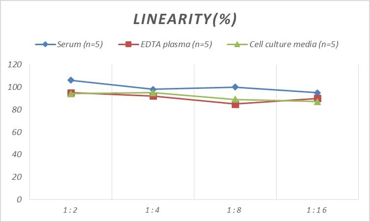 Human Granzyme A ELISA Kit (Colorimetric)