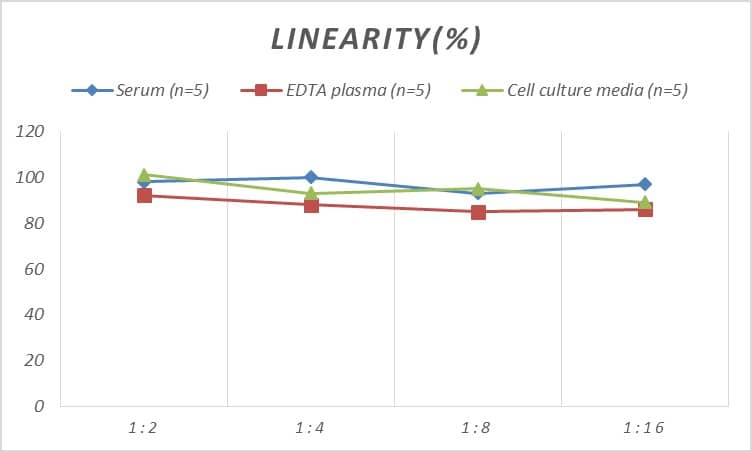 Mouse Granzyme A ELISA Kit (Colorimetric)