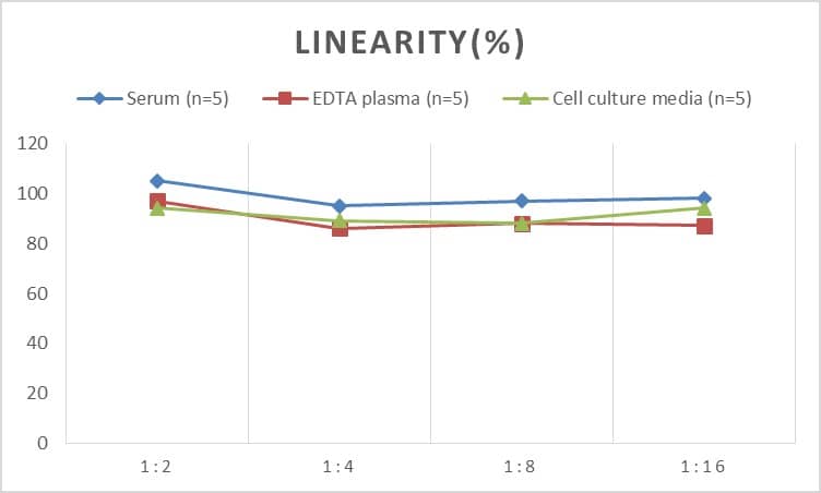 Rat Granzyme A ELISA Kit (Colorimetric)