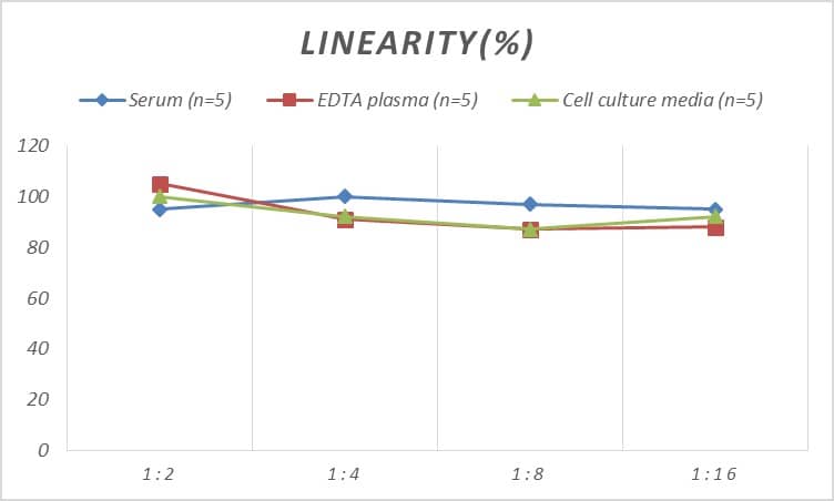 Human Granzyme K ELISA Kit (Colorimetric)