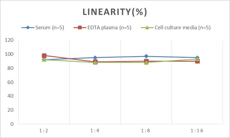 Human Glycogen Synthase ELISA Kit (Colorimetric)