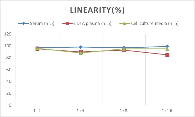 Human Glycogen synthase 2 ELISA Kit (Colorimetric)