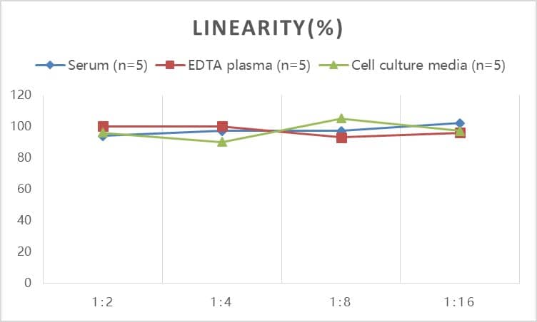 Human Fetuin B ELISA Kit (Colorimetric)