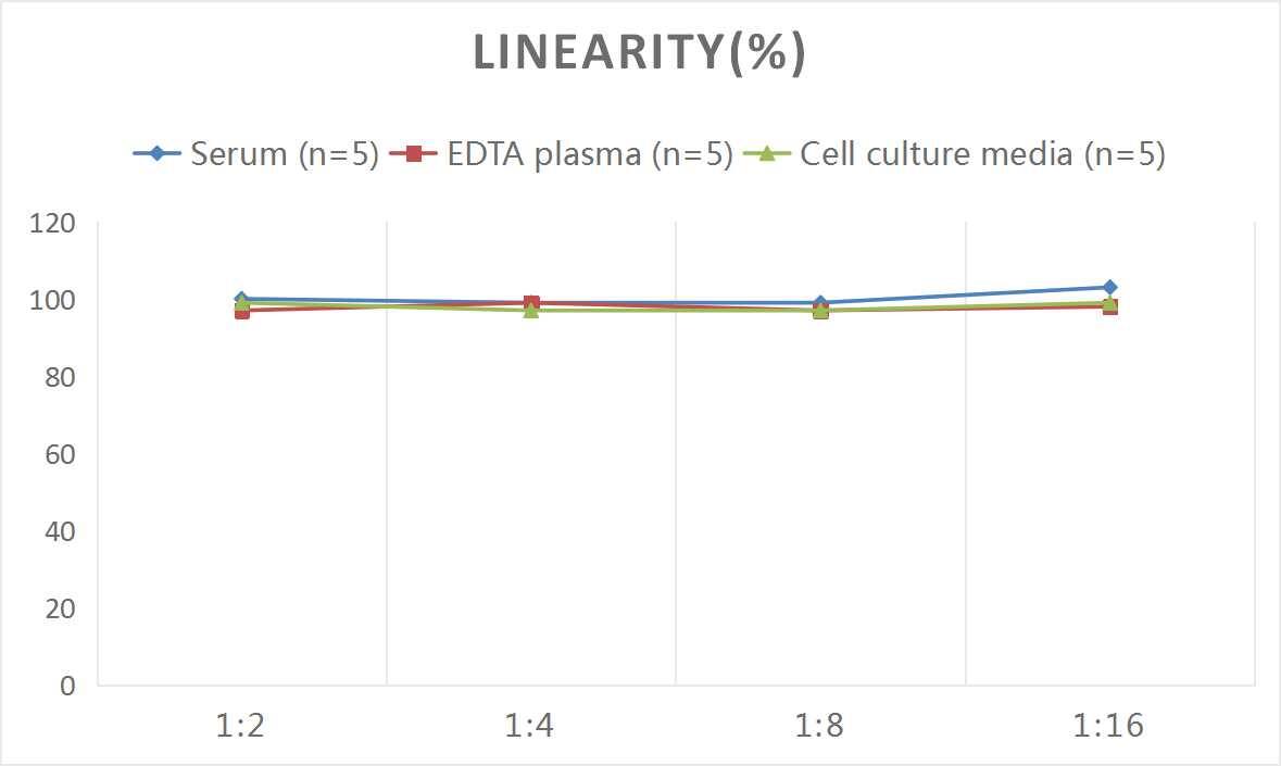 Monkey Granzyme B ELISA Kit (Colorimetric)