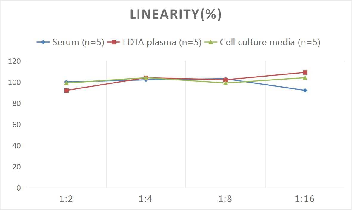 Human NT-proBNP ELISA Kit (Chemiluminescence)