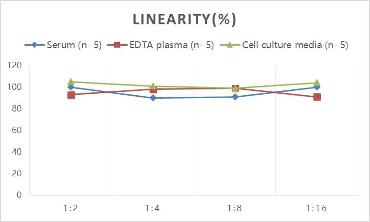 Human GFAP ELISA Kit (Colorimetric)