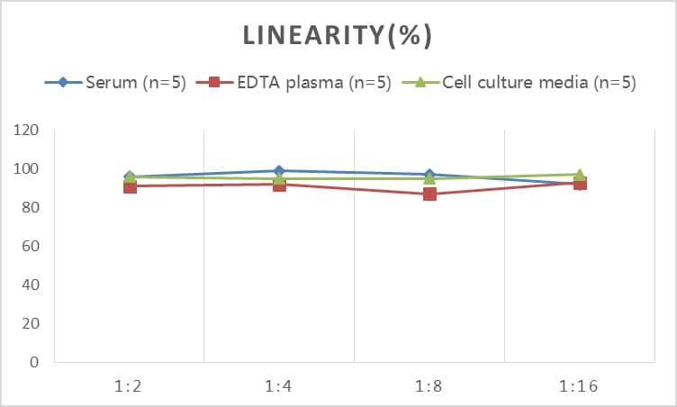 Porcine GFAP ELISA Kit (Colorimetric)