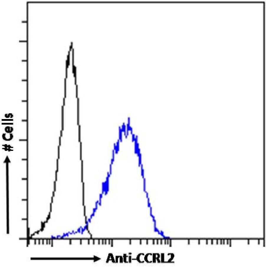 CCRL2/CRAM-A/B Antibody (BZ5B8) - Chimeric - Azide and BSA Free