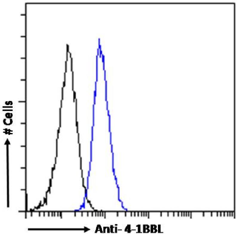 4-1BB Ligand/TNFSF9 Antibody (AT113-2) - Chimeric - Azide and BSA Free