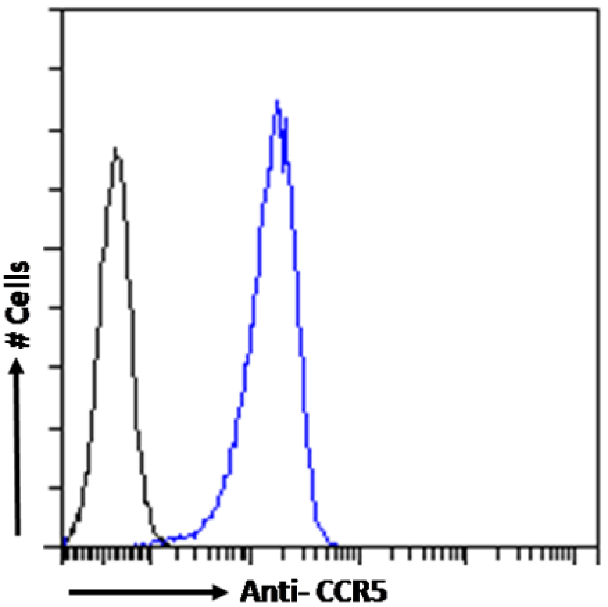 CCR5 [p Ser349] Antibody (E11/19) - Chimeric - Azide and BSA Free