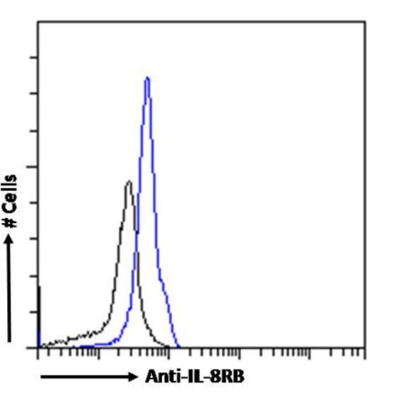 CXCR2/IL-8RB Antibody (HC2) - Chimeric - Azide and BSA Free