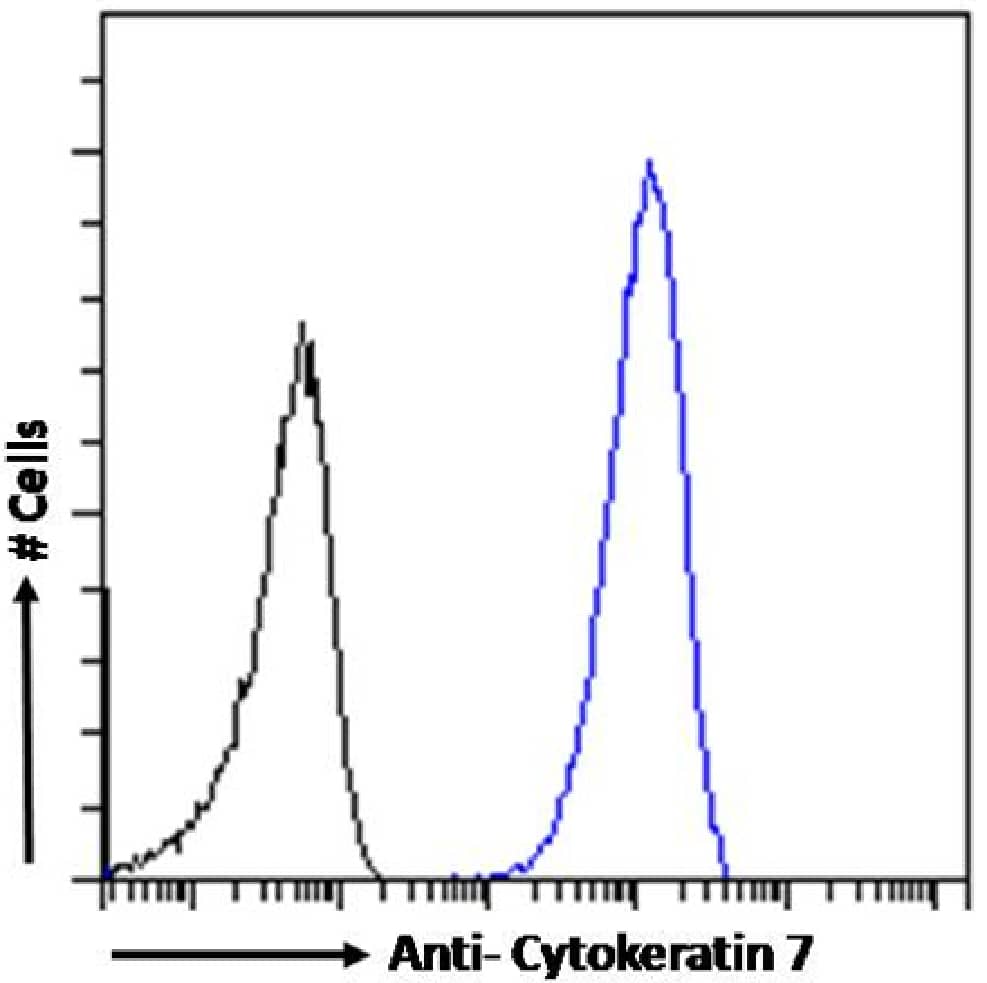 Cytokeratin 7 Antibody (OV-TL 12/30) - Chimeric - Azide and BSA Free