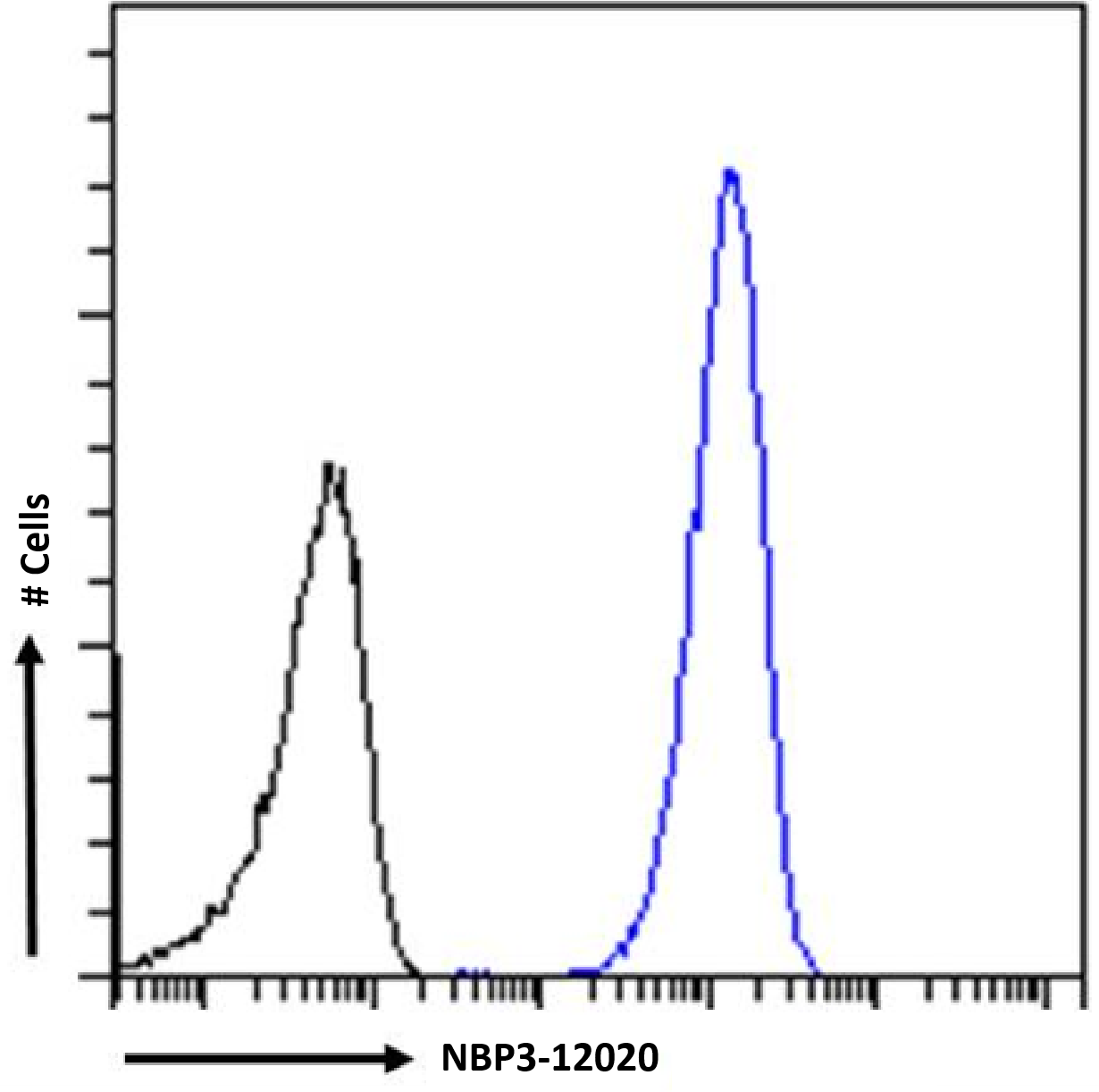 Histone H3 [Trimethyl Lys27] Antibody (BT164) - Chimeric - Azide and BSA Free