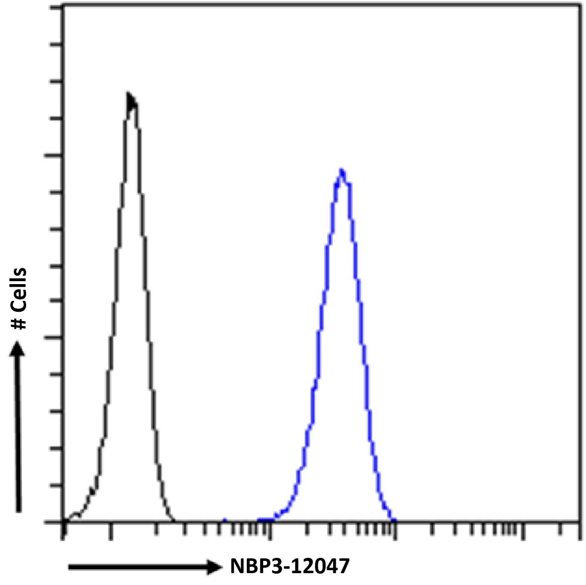 LRPAP Antibody (7F1) - Chimeric - Azide and BSA Free