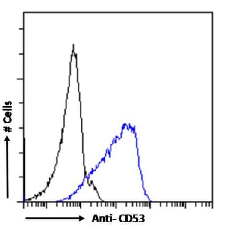 CD53 Antibody (HD77) - Chimeric - Azide and BSA Free