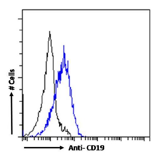 CD19 Antibody (CAT-13.1E10) - Chimeric - Azide and BSA Free