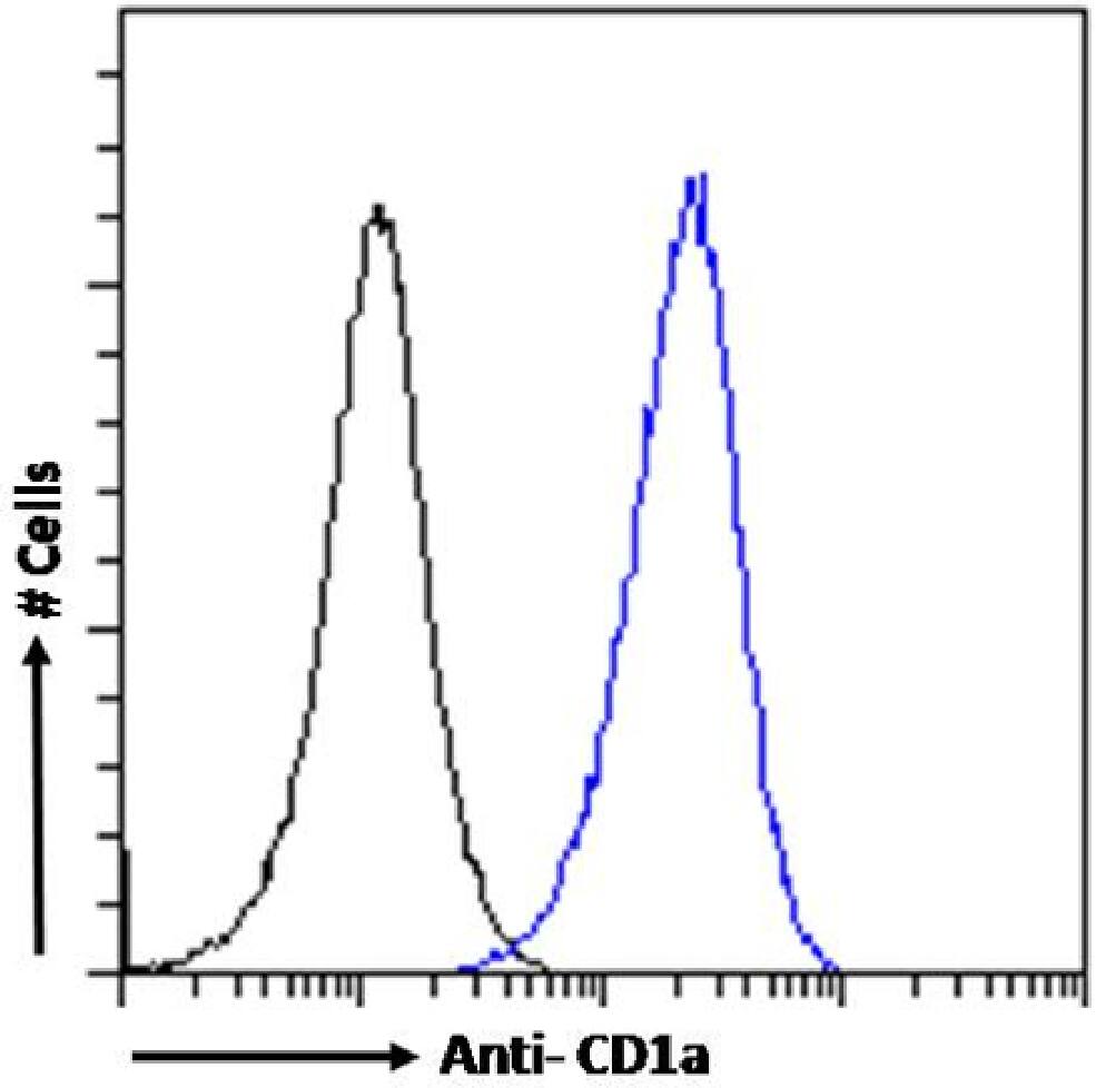 CD1a Antibody (CBT6) - Chimeric - Azide and BSA Free