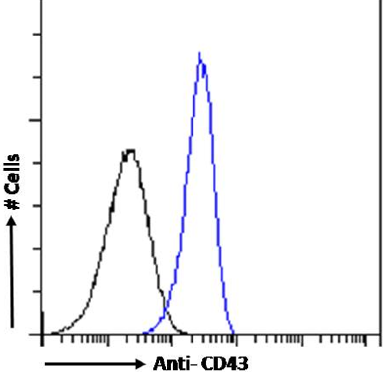 CD43/Sialophorin Antibody (84-3C1) - Chimeric - Azide and BSA Free