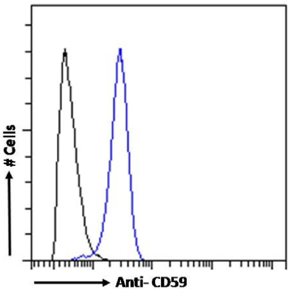 CD59 Antibody (193-27) - Chimeric - Azide and BSA Free