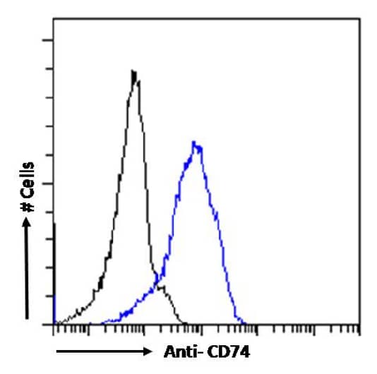 CD74 Antibody (LN-2) - Chimeric - Azide and BSA Free