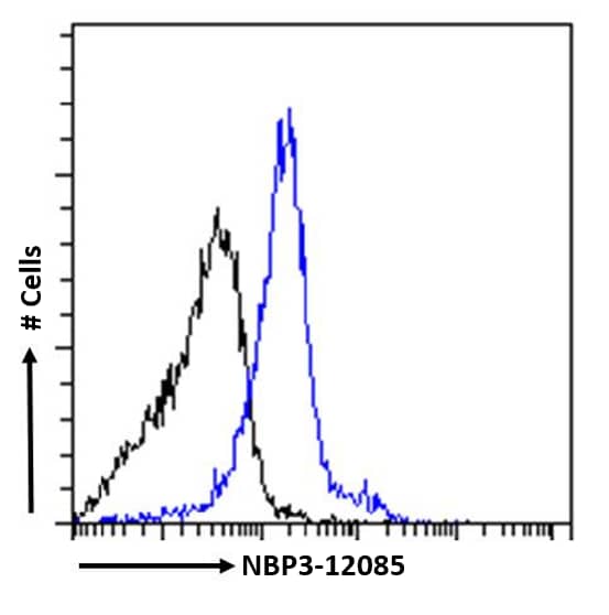 Complement Component C5aR1 Antibody (32-G1) - Chimeric - Azide and BSA Free