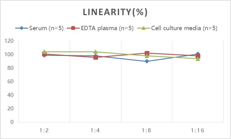 Rat Prolactin ELISA Kit (Colorimetric)