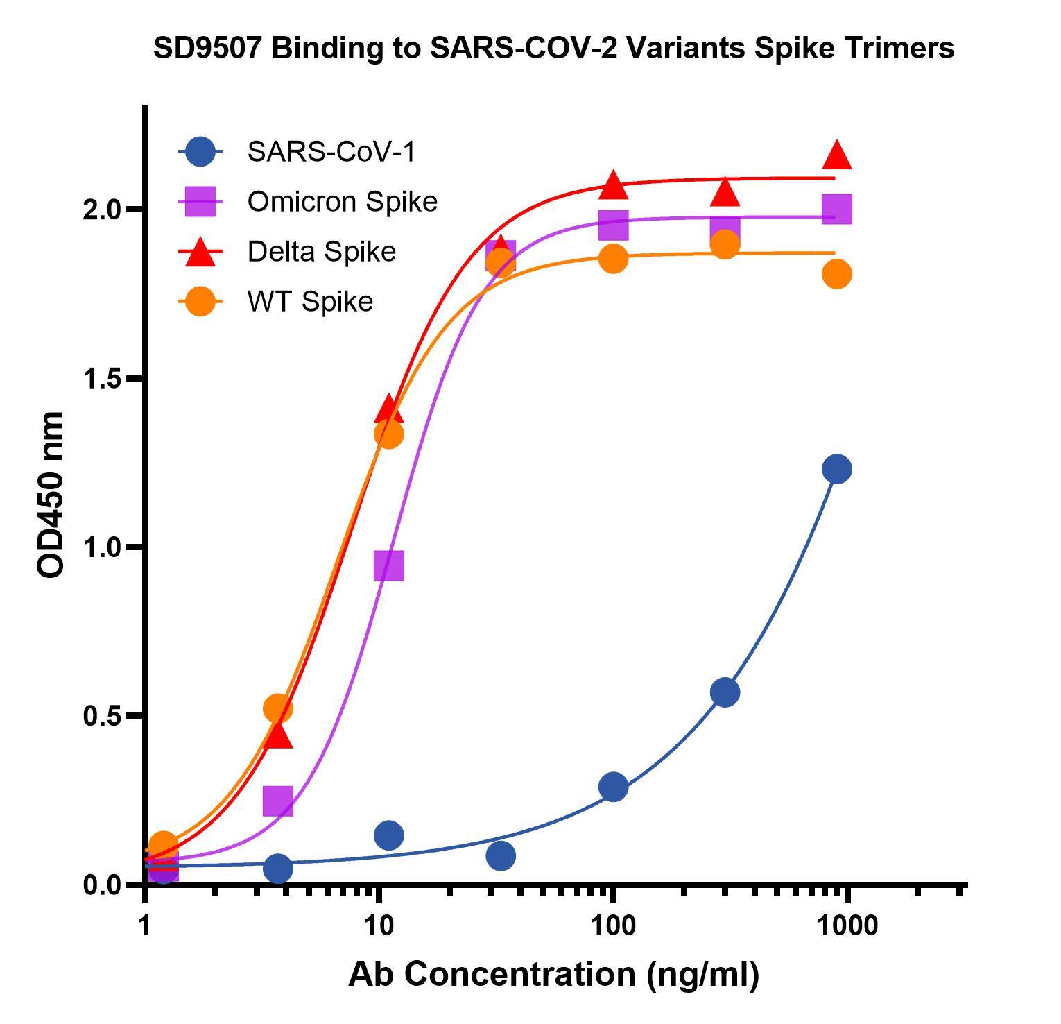 SARS-CoV-2 Spike RBD Antibody (T4P5-H12) - VHH - Azide and BSA Free