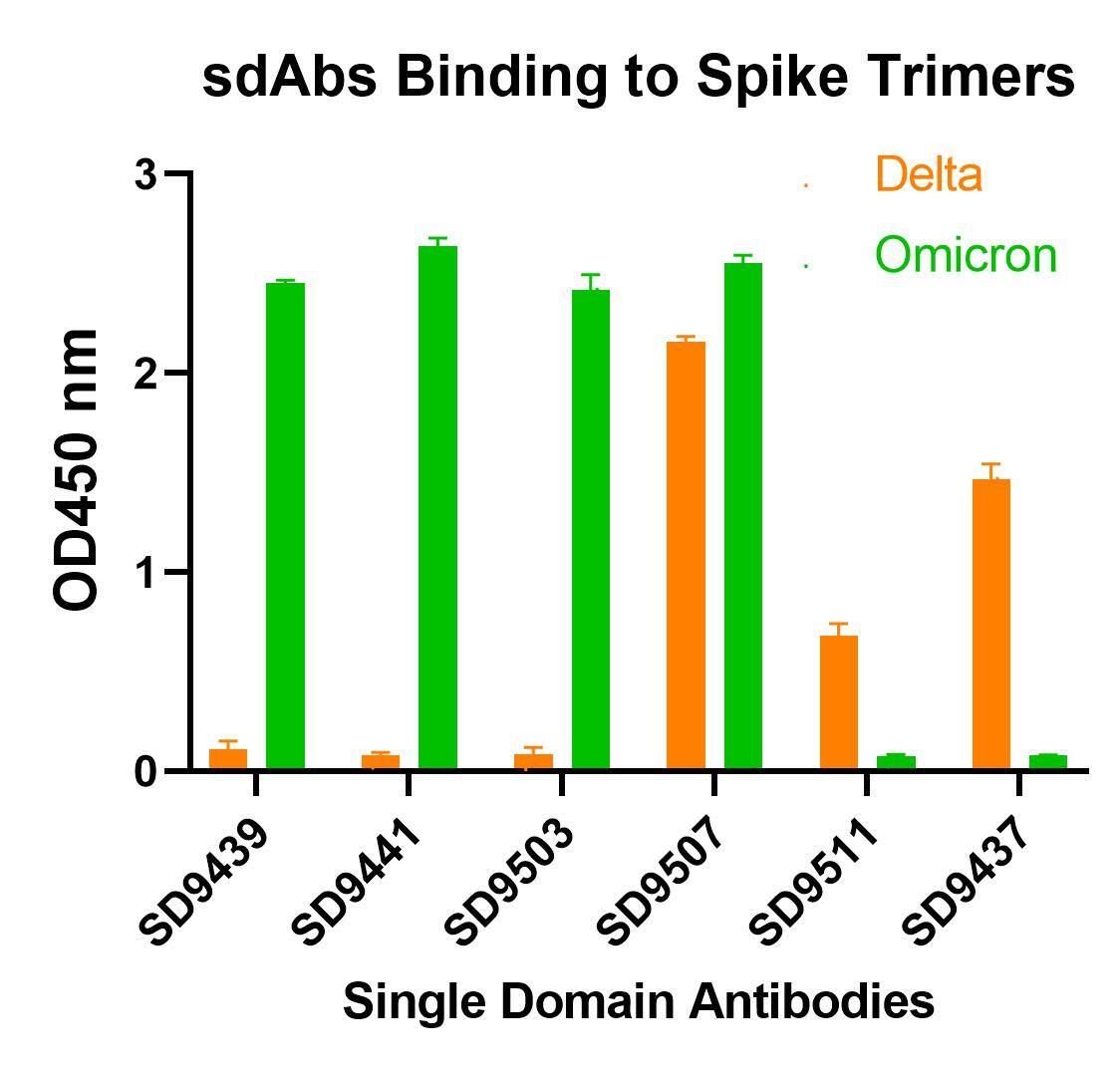 SARS-CoV-2 Spike RBD Antibody (T3P1-C8) - VHH - Azide and BSA Free