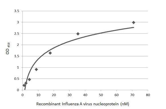 Influenza A H1N1 Nucleoprotein Antibody (GT1236) - (A/WSN/1933) - Azide and BSA Free