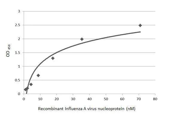 Influenza A H1N1 Nucleoprotein Antibody (GT1236) - (A/WSN/1933) - Azide and BSA Free