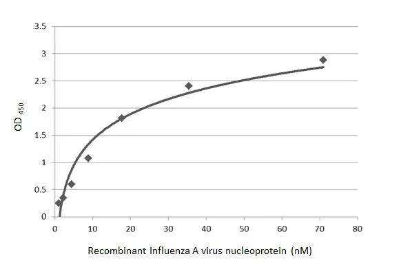 Influenza A H1N1 Nucleoprotein Antibody (GT1236) - (A/WSN/1933) - Azide and BSA Free