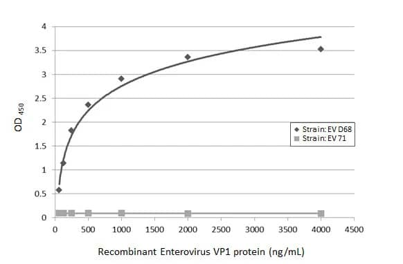 Enterovirus D68 VP1 Antibody (GT11610)