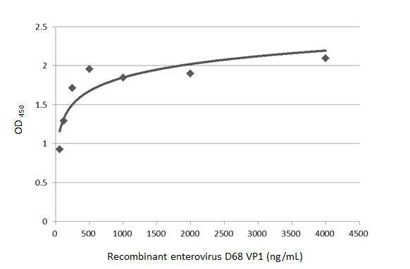 Enterovirus D68 VP1 Antibody (GT11610) - Azide and BSA Free