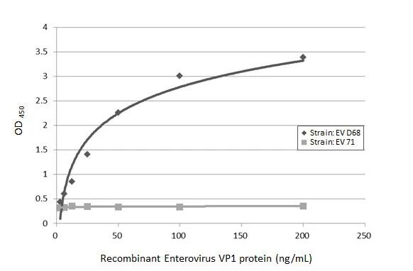 Enterovirus D68 VP1 Antibody (GT1843)