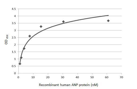 Atrial Natriuretic Peptide/ANP Antibody (GT1068) - Azide and BSA Free