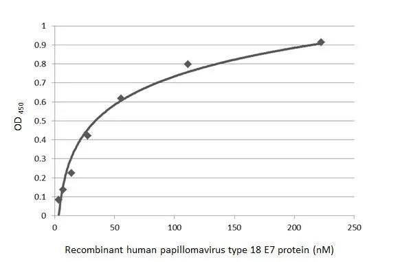 HPV18 E7 Antibody (GT881)