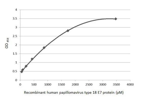 HPV18 E7 Antibody (GT881)