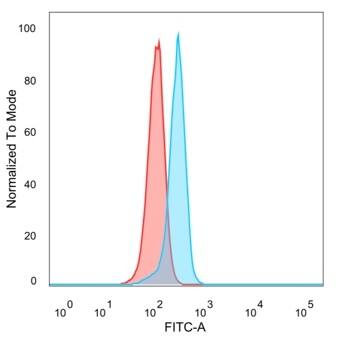 ATF2 Antibody (PCRP-ATF2-1B4) - Azide and BSA Free Flow Cytometry: ATF2 Antibody (PCRP-ATF2-1B4) - Azide and BSA Free [NBP3-14001] -