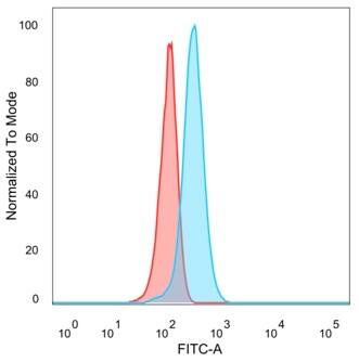 FOXB1 Antibody (PCRP-FOXB1-1B7) - Azide and BSA Free Flow Cytometry: FOXB1 Antibody (PCRP-FOXB1-1B7) - Azide and BSA Free [NBP3-14021] -