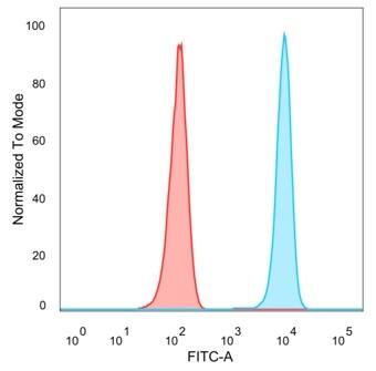 Daxx Antibody (PCRP-DAXX-5G11) - Azide and BSA Free Flow Cytometry: Daxx Antibody (PCRP-DAXX-5G11) - Azide and BSA Free [NBP3-14025] -