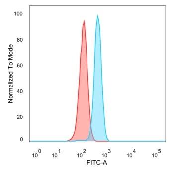 TFIIB Antibody (PCRP-GTF2B-1D1) - Azide and BSA Free Flow Cytometry: TFIIB Antibody (PCRP-GTF2B-1D1) - Azide and BSA Free [NBP3-14055] -