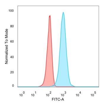 HOXB2 Antibody (PCRP-HOXB2-1F2) - Azide and BSA Free Flow Cytometry: HOXB2 Antibody (PCRP-HOXB2-1F2) - Azide and BSA Free [NBP3-14063] -