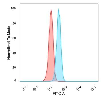 FOXQ1 Antibody (PCRP-FOXQ1-2D2) - Azide and BSA Free Flow Cytometry: FOXQ1 Antibody (PCRP-FOXQ1-2D2) - Azide and BSA Free [NBP3-14070] -