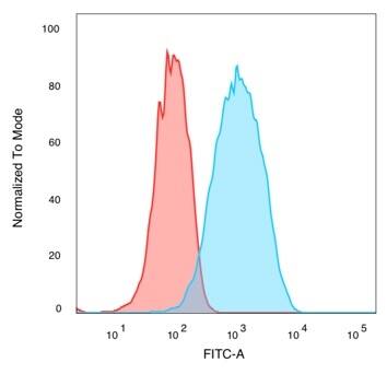 QKI/Quaking Antibody (PCRP-QKI-2F10) - Azide and BSA Free Flow Cytometry: QKI/Quaking Antibody (PCRP-QKI-2F10) - Azide and BSA Free [NBP3-14072] -