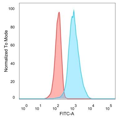 QKI/Quaking Antibody (PCRP-QKI-2F10) - Azide and BSA Free Flow Cytometry: QKI/Quaking Antibody (PCRP-QKI-2F10) - Azide and BSA Free [NBP3-14072] -